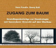 Zugang zum Baum